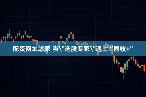 配资网址之家 当＂选股专家＂遇上“固收+”