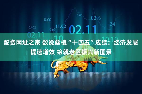配资网址之家 数说桑植“十四五”成绩：经济发展提速增效 绘就老区振兴新图景