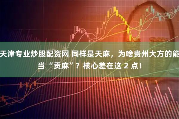 天津专业炒股配资网 同样是天麻，为啥贵州大方的能当 “贡麻”？核心差在这 2 点！