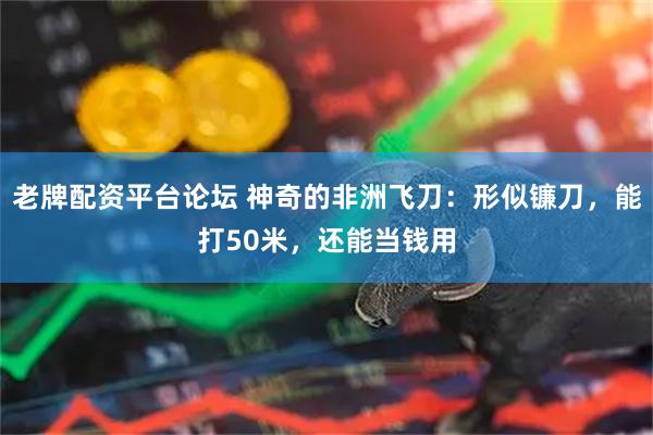 老牌配资平台论坛 神奇的非洲飞刀：形似镰刀，能打50米，还能当钱用